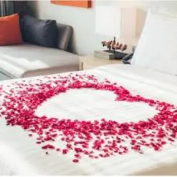 Fancy Dry Rose Petals